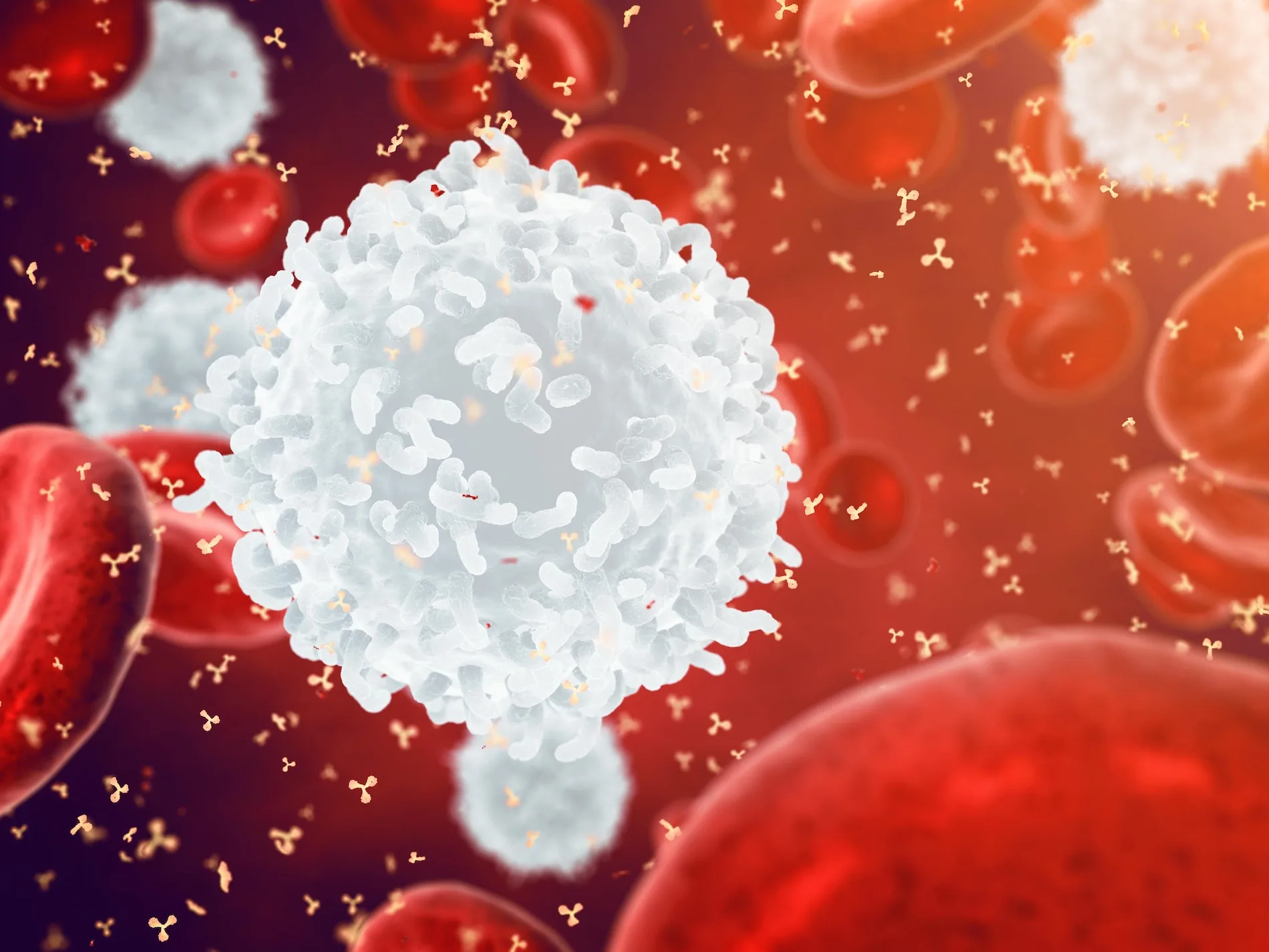 attention-immune-response-inflammation-1.jpg