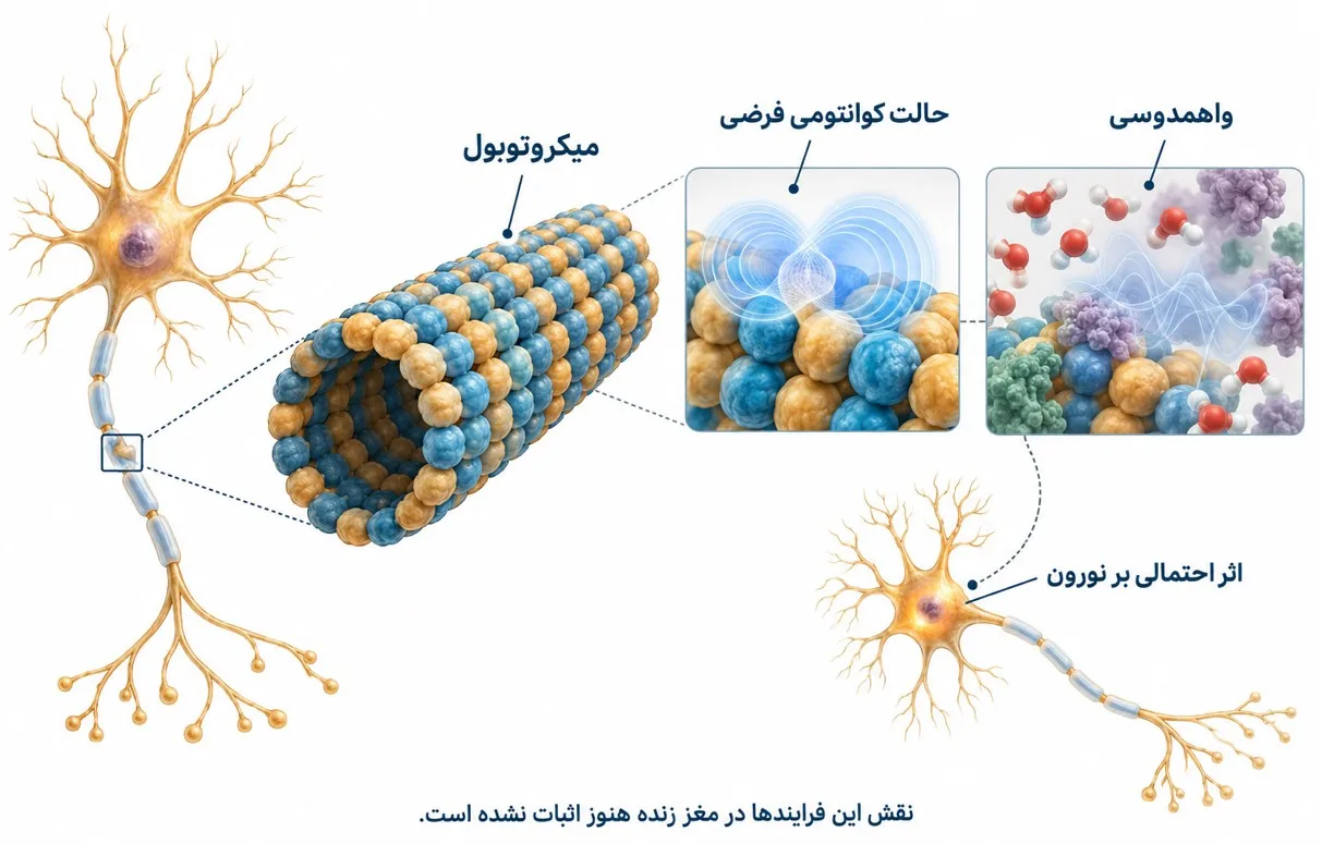 neuron-quantum2.jpg