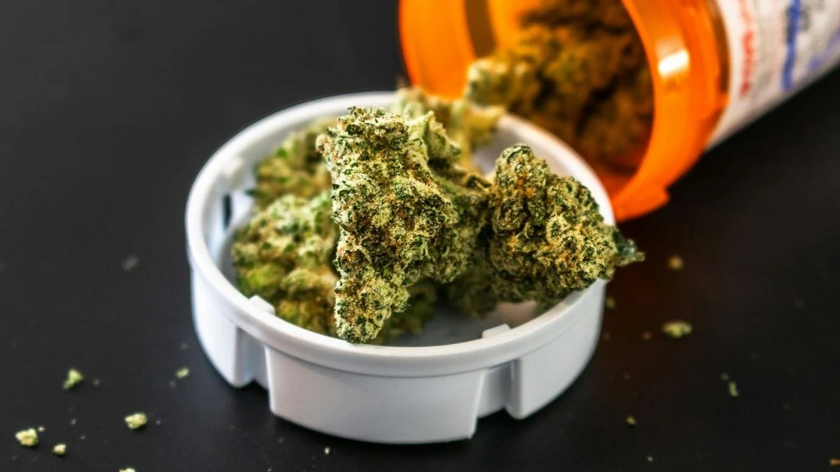 cannabis-cover.jpg
