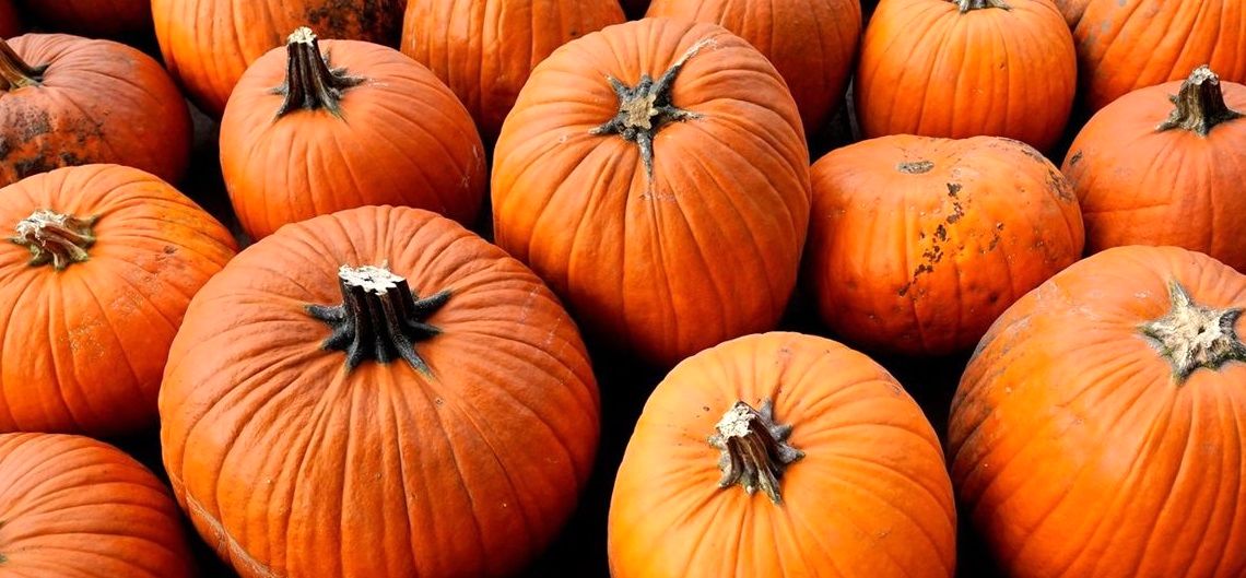 خواص شگفت‌انگیز «کدوحلوایی» و روش‌های مصرف آن 