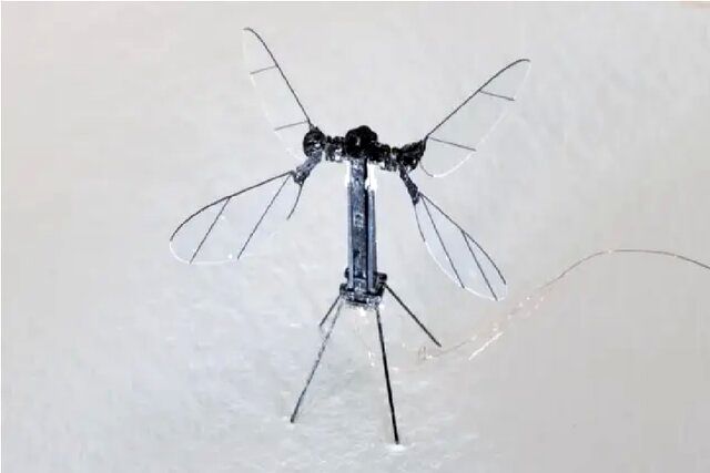 رونمایی ارتش چین از پهپادهای پشه‌ای