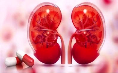 تولید اولین مولکول داروی کاهش رد پیوند کلیه/ صرفه‌جویی ۳.۵ میلیون دلاری با بومی‌سازی دارو