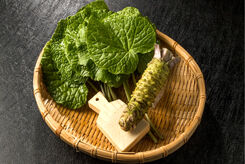 پیشگیری از پیری و سرطان با این ادویه ژاپنی