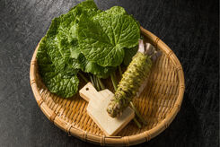 پیشگیری از پیری و سرطان با این ادویه ژاپنی