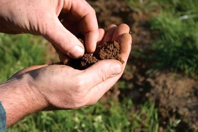 تاثیر رطوبت خاک در پایداری مخازن تأمین کننده آب شرب تهران