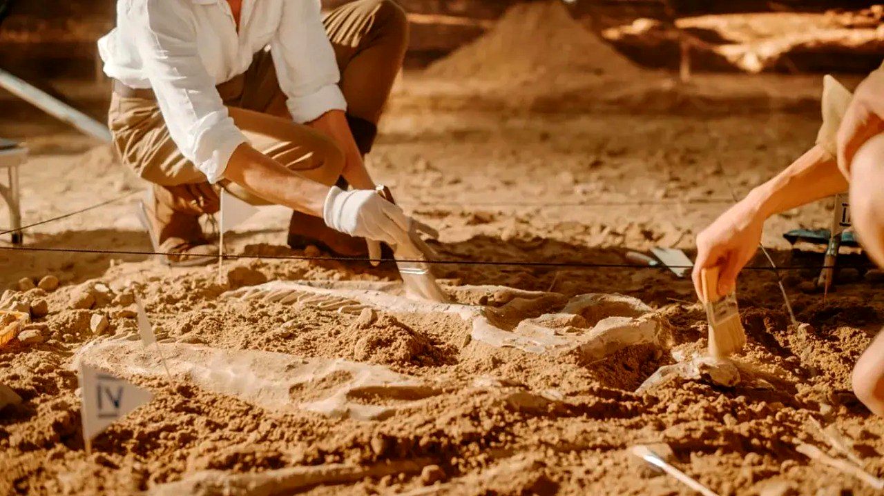 کشف شگفتانگیز دانشمندان: فسیل ۵۲۰ میلیون ساله با مغز و رودههایی سالم مثل روز اول پیدا شد