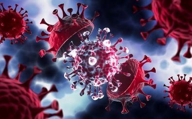 وزیکول‌ها به مقابله با عفونت‌های ویروسی آمدند