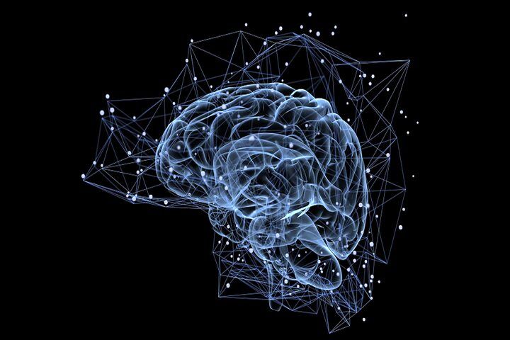 مداری پنهان در مغز دید بصری ما را بازنویسی می‌کند