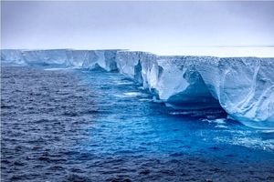 کشف یک متحد جدید برای مبارزه با تغییرات اقلیمی