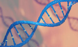 کشف بزرگ آنتروپیک در ژنتیک: Claude آنزیم جدیدی شبیه به کریسپر در DNA شناسایی کرد