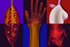 همه ما می‌درخشیم؛ اما چرا؟