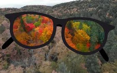 کوررنگ‌ها جهان را چگونه می‌بینند؟/ ویدئو