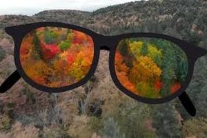 کوررنگ‌ها جهان را چگونه می‌بینند؟/ ویدئو