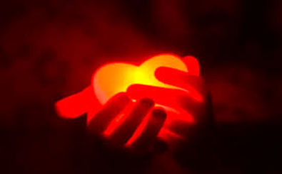 انسان‌ها چند بار واقعاً عاشق می‌شوند؟ پاسخ شاید غافلگیرتان کند