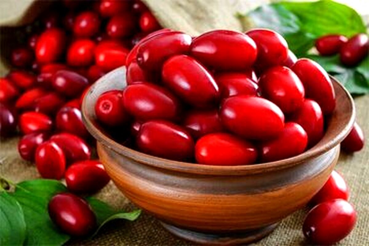 ارتباط مصرف زغال اخته با بهبود بیماری های مغز و اعصاب