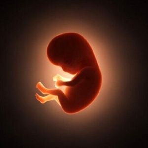 سقط جنین از نگاه مردان؛ روایتی کمتر شنیده‌شده