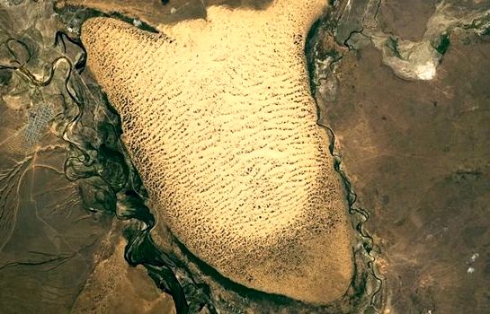 حلزون شنی غول‌آسایی که در نزدیک دریای خزر می‌خزد