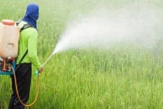 اثر سم در برخی آفات تا سه نسل ادامه دارد