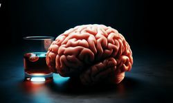 نوشیدن الکل نحوه ارتباط مغز را عمیقاً تغییر می‌دهد 