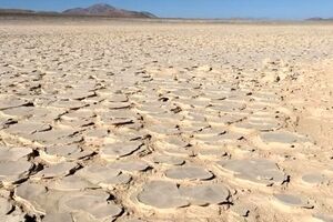 کشف یک «زیستگاه» عظیم در عمق چهار متری خشک‌ترین صحرای جهان