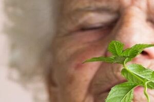 بوی نعنا می تواند به درمان آلزایمر کمک کند