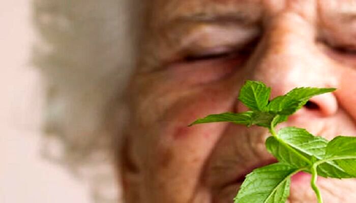 بوی نعنا می تواند به درمان آلزایمر کمک کند