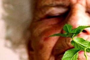 بوی نعنا می تواند به درمان آلزایمر کمک کند