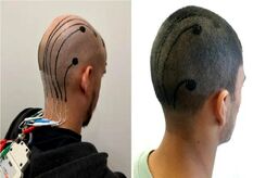 تاثیرات ناشناخته خالکوبی بر سیستم ایمنی بدن