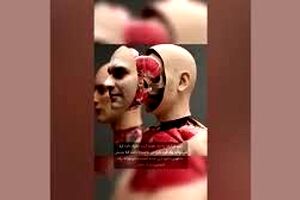 تغییر چهره واقعی فقط با ۱۲۸ میلیارد تومان/ ویدئو