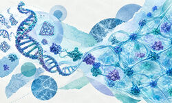 ساخت مواد هوشمند با کمک DNA و پروتئین 