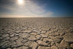 تابستان ۲۰۲۳ گرم‌ترین فصل در دو هزار سال گذشته بوده است