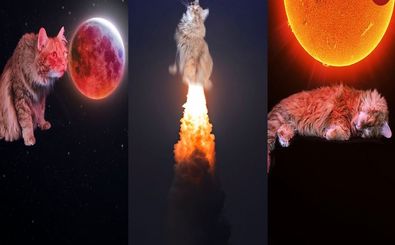 عکس‌های نجومی بامزه‌ای که «گربه» را به اعماق کهکشان می‌برند 