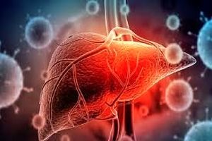 کدام چربی‌ ها مغز را کوچک می‌ کنند؟