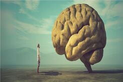 یک پیشرفت بزرگ در درک «خودآگاهی»