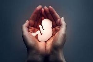 عوامل موثر بر سقط جنین را بشناسید