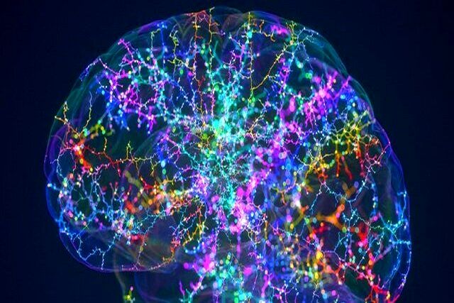 دستاورد جدید دانشمندان آکسفورد و UCL ، تحولی در درمان پارکینسون