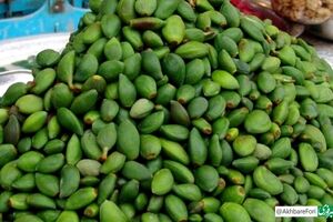 خطر مسمومیت با نوبرانه‌ بهار؛ مراقب مصرف این نوع چغاله‌ها باشید