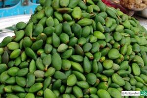 خطر مسمومیت با نوبرانه‌ بهار؛ مراقب مصرف این نوع چغاله‌ها باشید