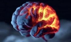 یک بیماری خاموش مغزی خطر زوال عقل را ۴ برابر می‌کند