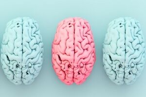 ارتباط شگفت‌انگیز میان یک ماده مغذی کلیدی، چاقی و خطر آلزایمر