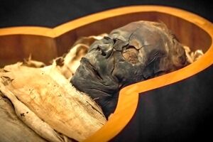 مومیایی 3300 سالۀ مصری «طاعون‌زده» از آب درآمد
