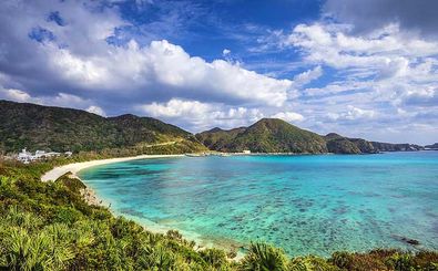 ماهی عجیب در اوکیناوا ژاپن/ ویدئو