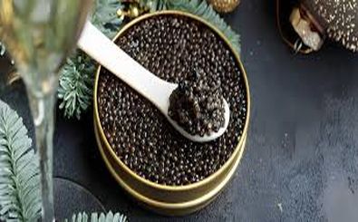 رقابت جهانی برای تصاحب بازار خاویار؛ ژاپنی‌ها استروژن‌های نر را به ماده تبدیل کردند/ ویدئو