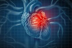 پایش علایم حیاتی قلب با دستگاه قابل حمل دانش‌بنیان