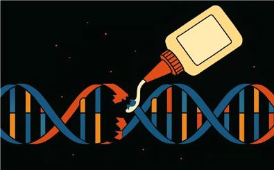 دانشمند ایرانی چسب ضد پیری مغز ساخت