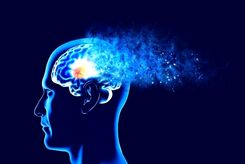 این گروه دیرتر گرفتار آلزایمر می‌شوند