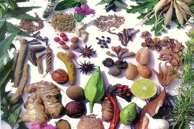 گیاهان دارویی، قاتل چربی خون بالا