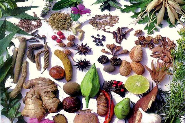 گیاهان دارویی، قاتل چربی خون بالا
