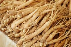 جینسنگ هندی یا آشواگاندا چیست و چه خواصی دارد؟