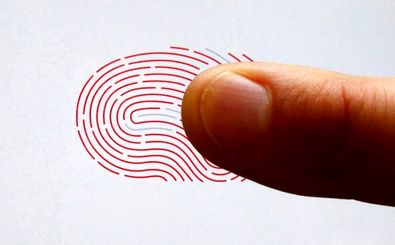 آیا اثر انگشت انسان واقعا منحصر به‌ فرد است؟